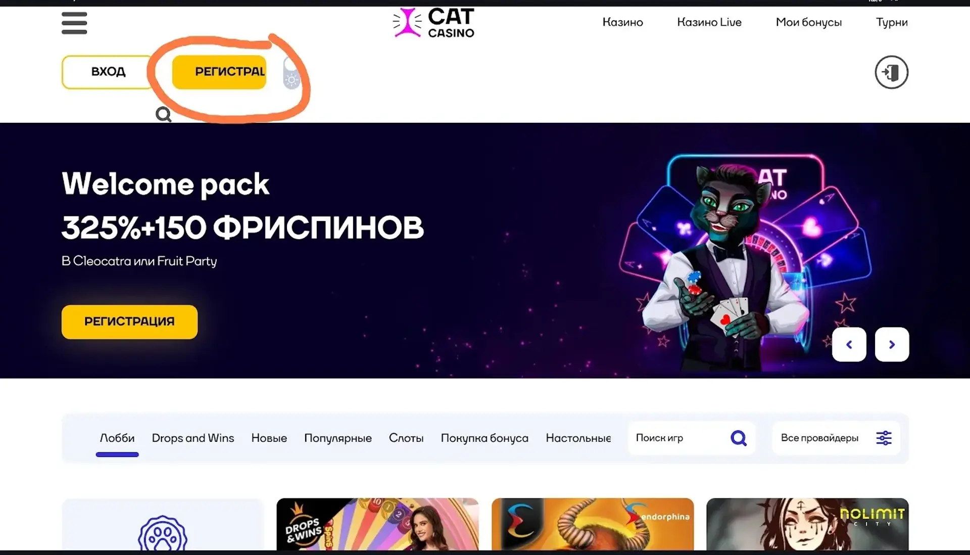 Скриншот казино 1
